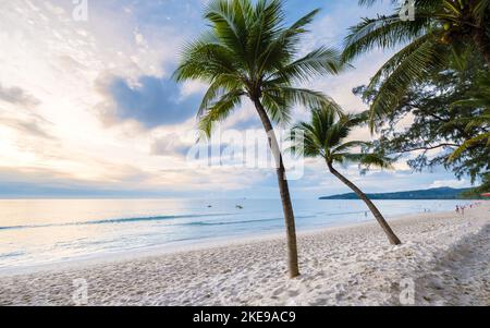 Tramonto con palme sulla spiaggia di Bang Tao Beach Phuket Thailandia durante il tramonto Foto Stock