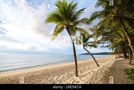 Tramonto con palme sulla spiaggia di Bang Tao Beach Phuket Thailandia durante il tramonto Foto Stock