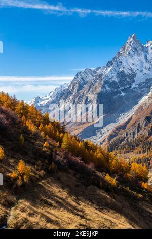 Vista sul Massiccio del Monte Bianco dal sentiero al Rifugio Bertone in autunno. Valle Ferret, Courmayeur, Distretto d'Aosta, Valle d'Aosta, Italia, Europa. Foto Stock