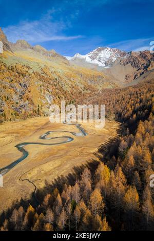Veduta aerea della valle della preda Rossa in autunno di fronte al Monte Disgrazia e ai Corni Bruciati. Val Masino, provincia di Sondrio, Lombardia, Italia. Foto Stock