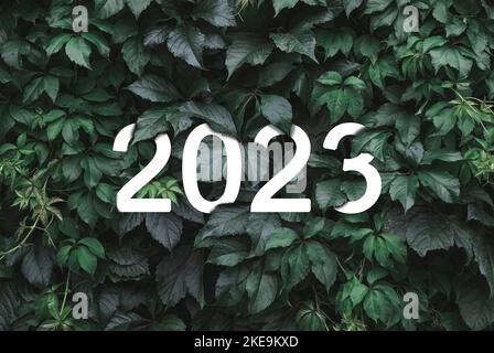 2023 nuovo anno bianco testo nascosto in verde naturale foglie muro Foto Stock