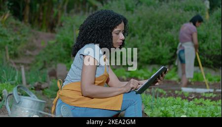 Una donna nera che usa un tablet in una piccola fattoria. Donna afroamericana che usa la tecnologia per far crescere la piccola impresa Foto Stock