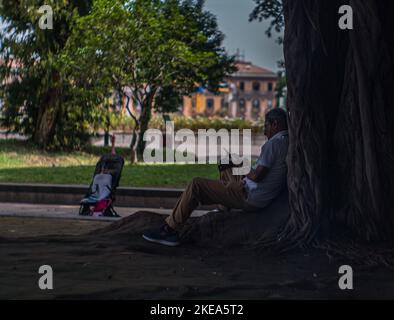 Un uomo seduto alle radici di grandi alberi e leggendo un libro, godendo di un momento di pace nella caotica Napoli Foto Stock