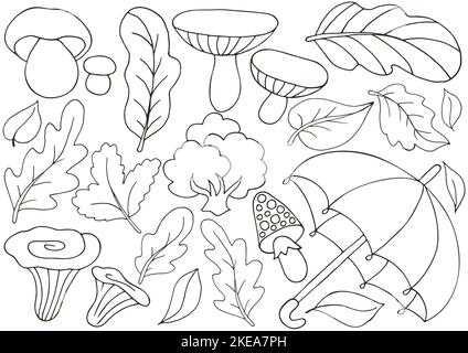 Autunno. Set di illustrazioni vettoriali in stile disegnato a mano. Poster monocromatico con foglie autunnali e funghi. Collezione di adesivi Illustrazione Vettoriale