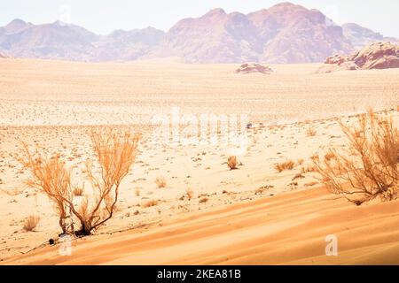 Wadi rum deserto paesaggio con linea di 4WD veicoli guidare sulla valle deserto sabbia strada in un safari organizzato tour in Giordania Foto Stock