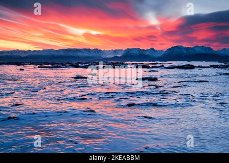 Morgenstimmung über der zugefrorenen Kachemak Bay mit den Kenai Bergen im Hintergund, bei Homer auf der Kenai Halbinsel, Alaska, Stati Uniti Foto Stock