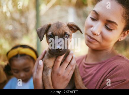 Cane, donna e mani tenendo cucciolo in amore per l'adozione, la vita o il legame da rifugio animale. Donna felice che porta piccolo cucino in mano per il supporto Foto Stock