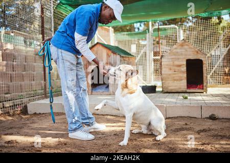 Cane, cibo e formazione per l'adozione degli animali con il lavoratore nero professionale al riparo per il salvataggio e gli animali domestici persi. Formatore, apprendimento e ricompensa per il bene Foto Stock