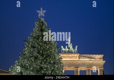 Weihnachtsbaum auf dem Pariser Platz a Berlino vor dem Brandenburger Tor Foto Stock