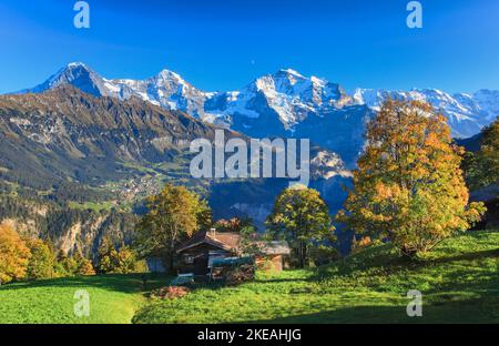 Vista da Sulwald, Eiger - 3970 m, Moench - 4107 m, Jungfrau - 4158 m, Svizzera, Oberland Bernese Foto Stock