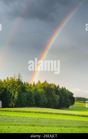 Atmosfera serale con doppio arcobaleno sulla foresta mista verde, Svizzera, Zuercher Oberland Foto Stock