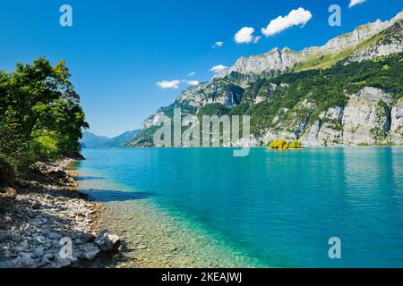 Lago di Walen con piccola isola ai piedi del Churfirsten e massicci Schaeren e Leistchamm sullo sfondo, Svizzera, San Gallo Foto Stock