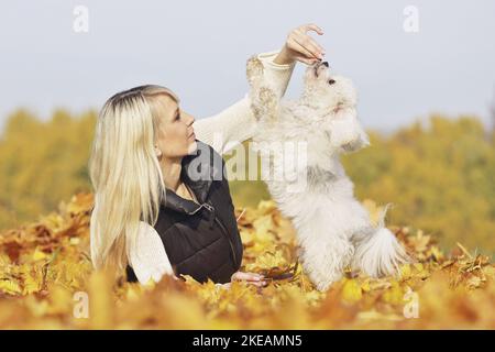 Donna con Powderpuff cinese crested Foto Stock