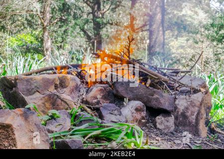 Barbecue naturale con pietre e rami fuoco.fuoco selettivo in primo piano con erba verde e sfondo sfocato alberi della foresta luce del giorno. Foto Stock