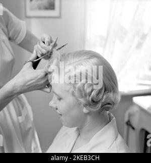 Ottenere un hairdo 1950s. Un parrucchiere è visto tagliare i capelli della donna bionda più corti con un paio di forbici. Svezia 1956. Rif. Cond. 3226 Foto Stock