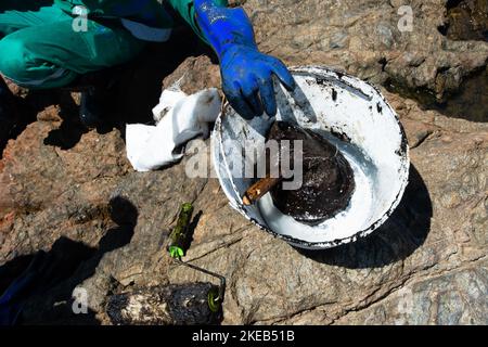 I detergenti estraggono l'olio dalla spiaggia di Rio Vermelho nella città di Salvador. Foto Stock