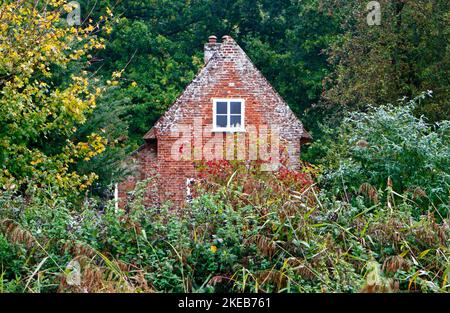 Una vista di Toad Hole Cottage, un restaurato Marshman's Cottage, immerso negli alberi in autunno sul Norfolk Broads a How Hill, Ludham, Norfolk, Regno Unito. Foto Stock