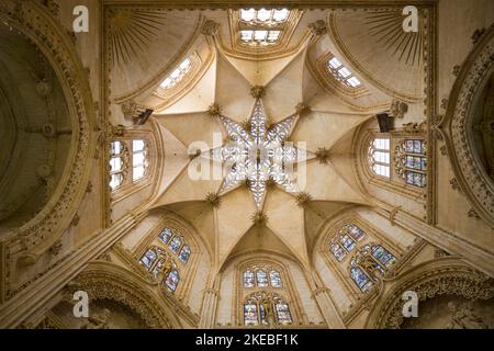 Volta a forma di stella della Cappella Constables nella Cattedrale di Burgos, Spagna. Foto Stock