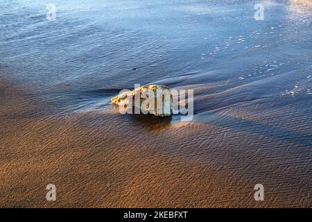 Piccola pietra bagnata su sabbia bagnata, molte linee di sabbia da acqua e vento. Di colore blu, giallo e marrone. Foto Stock