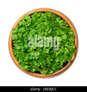 Prezzemolo fresco riccio in una ciotola di legno. Prezzemolo riccio, con foglie verde brillante e increspate, usato come guarnitura. Crispum di Petroselinum. Foto Stock