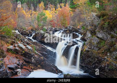 Cascate Rogie nelle Highlands della Scozia. Foto Stock