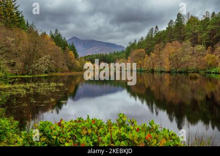 Autunno a Glencoe Lochan Foto Stock
