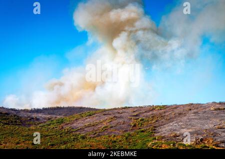 Intervention sur le lieu d'un incendie de Forêt, Occitanie, Francia. Foto Stock