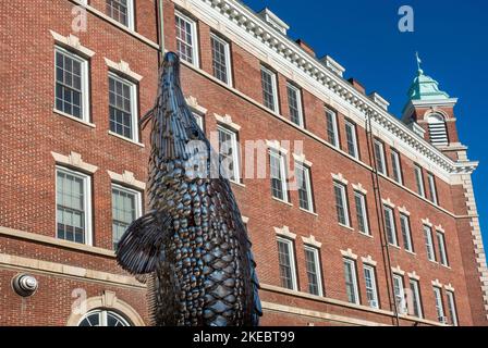 Scultura di storione atlantica fatta di cucina usata al Culinary Institute of America in Hyde Park NY Foto Stock