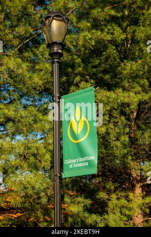 Culinary Institute of America banner su lampada post a Hyde Park NY Foto Stock