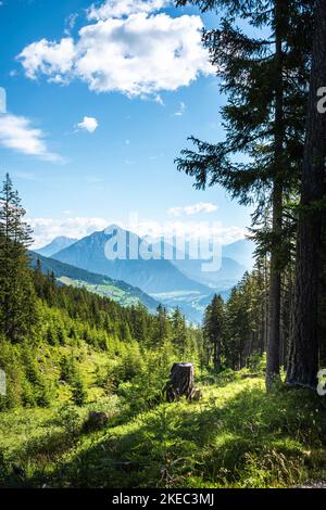 Vista sulle cime montane attraverso una foresta di conifere nelle Alpi austriache durante il giorno estivo. Foto Stock