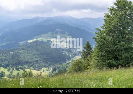 Europa, Germania, Germania meridionale, Baden-Wuerttemberg, Foresta Nera, Vista da Belchen sulle montagne boscose della Foresta Nera meridionale Foto Stock