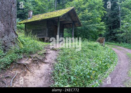 Europa, Germania, Germania meridionale, Baden-Württemberg, Foresta Nera, Rifugio a Hexenplatz nei pressi di Kandern Foto Stock