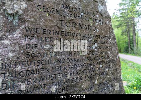 Europa, Germania, Germania meridionale, Baden-Wuerttemberg, Foresta Nera, Tornadostein a Westweg vicino Pforzheim Foto Stock