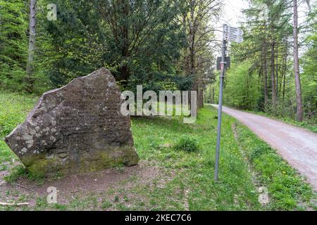 Europa, Germania, Germania meridionale, Baden-Wuerttemberg, Foresta Nera, Tornadostein a Westweg vicino Pforzheim Foto Stock