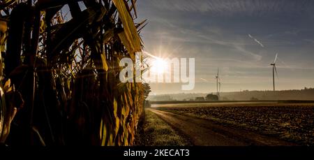 Energie rinnovabili nel paesaggio, nei pressi di Bad Saulgau, mais per biogas, sole per solare, turbina eolica per l'energia eolica Foto Stock