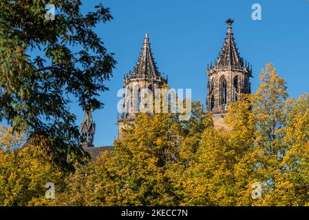 Cattedrale di Magdeburgo in autunno, Magdeburgo, Sassonia-Anhalt, Germania Foto Stock