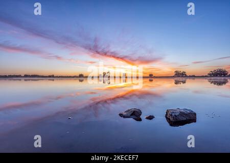 Elba, paesaggio dell'Elba vicino a Bleckede al mattino presto Foto Stock