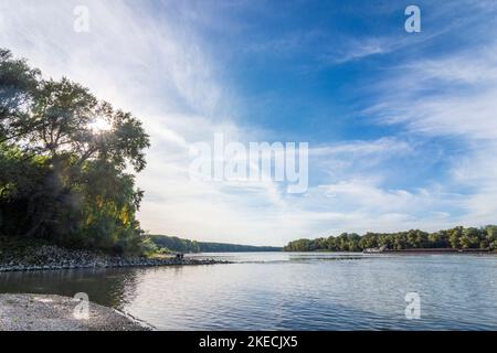 Parco nazionale Donau-Auen, Parco nazionale Danubio-Auen, fiume Donau (Danubio), pescatore, nave da carico, A Orth an der Donau a Donau, bassa Austria, Austria Foto Stock