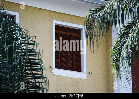Finestra di legno chiusa tra palme Foto Stock