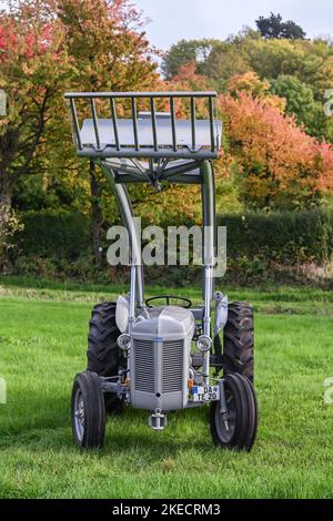Otzberg, Hesse, Germania, trattore Massey-Ferguson TEF 20. Cilindrata 2092 cc, 27 cv. Anno di fabbricazione 1956 Foto Stock