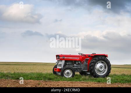 Otzberg, Hesse, Germania, trattore Massey-Ferguson 135. Cilindrata 2500 cc, 33 cv. Anno di fabbricazione 1966 Foto Stock
