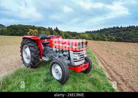 Otzberg, Hesse, Germania, trattore Massey-Ferguson 135. Cilindrata 2500 cc, 33 cv. Anno di fabbricazione 1966 Foto Stock