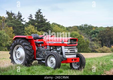 Otzberg, Hesse, Germania, trattore Massey-Ferguson 135. Cilindrata 2500 cc, 33 cv. Anno di fabbricazione 1966 Foto Stock