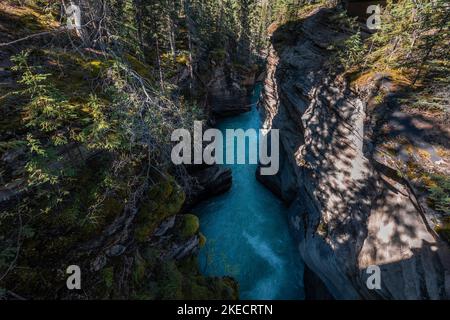 Canyon Athabasca nel pomeriggio al Jasper National Park 2, Canada Foto Stock