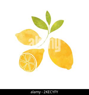 Illustrazione di limoni freschi in stile con texture pittoriche. Foto Stock