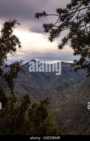 Uscire fuori è grande per l'anima e questa visione ci ricorda perché. Scattata da dietro alcuni pini, la foto incornicia uno dei maestosi Colorado mt. Foto Stock