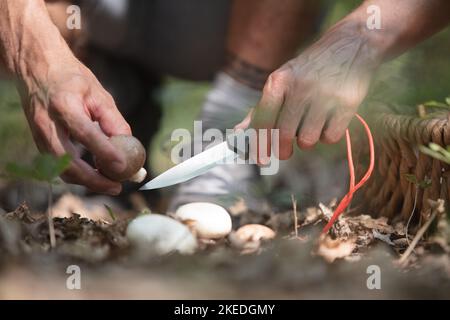 avvio del fuoco con primo piano in acciaio Foto Stock