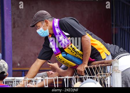 I sostenitori di Persik Kediri. Persik è una delle squadre di calcio indonesiane Foto Stock