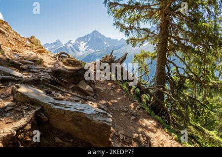 Il di Aiguilles Verte e Petit Dru cime - Chamonix. Foto Stock