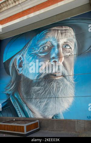 Blue Beard Street Art, Melbourne, Victoria, Australia Foto Stock